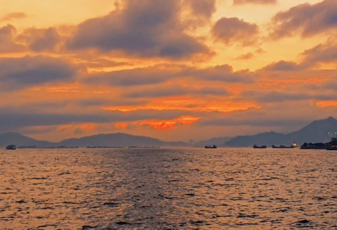 1768463773172398.png image.png