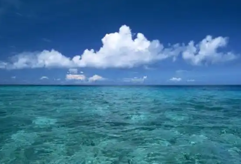 1768464105657488.png image.png