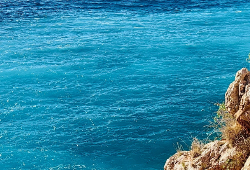 1768464603642156.png image.png