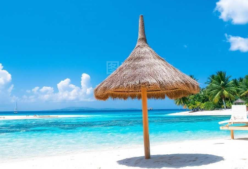 1768467920997797.png image.png