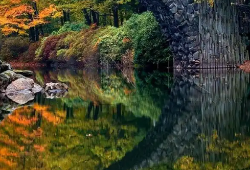 1779377960744642.png image.png