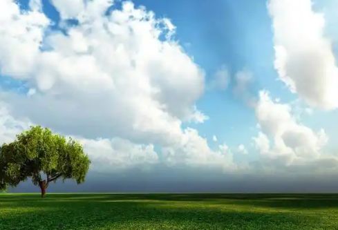 1779381118748065.png image.png