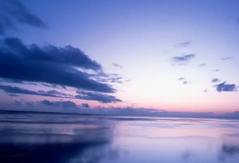 1779384102644936.png image.png
