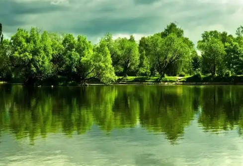 1779388253947744.png image.png