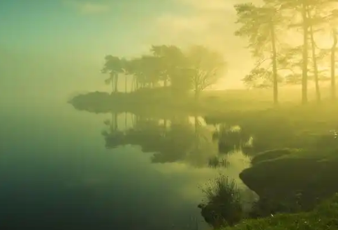 1779389579520242.png image.png