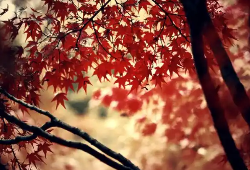 1779389911152735.png image.png