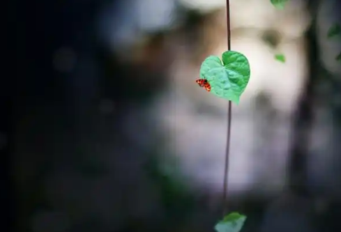 1779390243975866.png image.png
