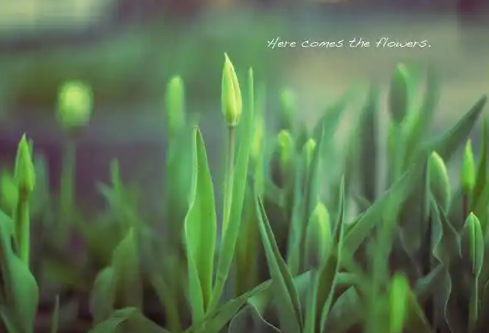 1779400363248870.png image.png