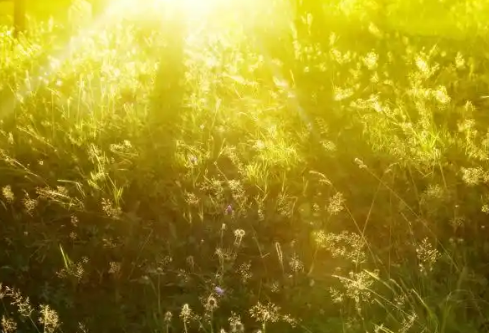 1779400695462326.png image.png