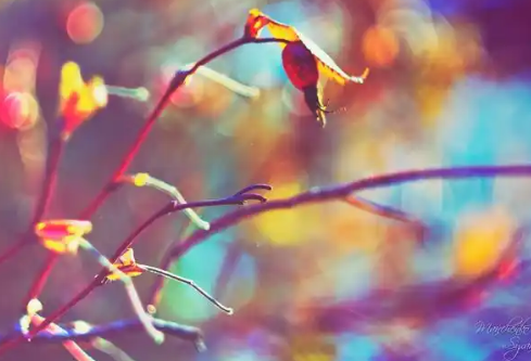 1779400861410056.png image.png