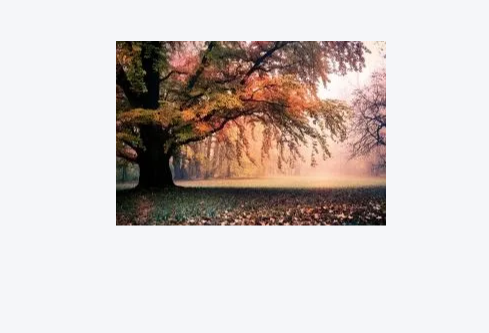 1779403018529051.png image.png