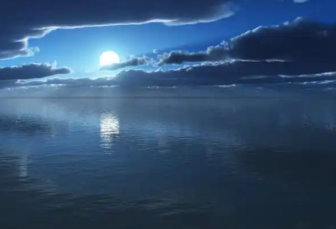 1779404677443785.png image.png