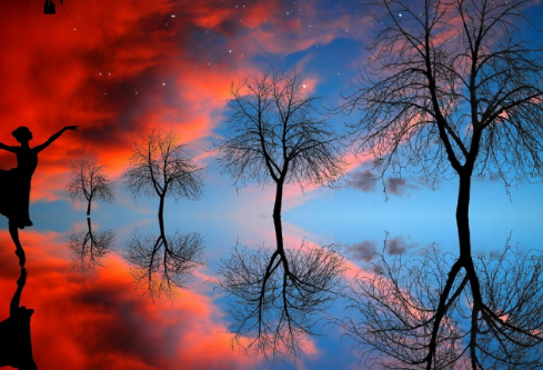 1779404844426604.png image.png