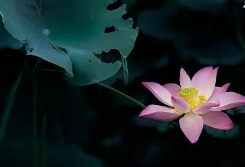 1779406004559058.png image.png