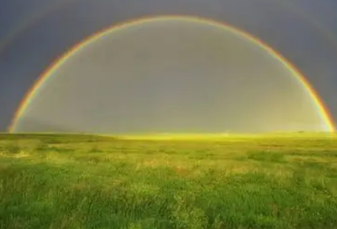 1779406502350465.png image.png