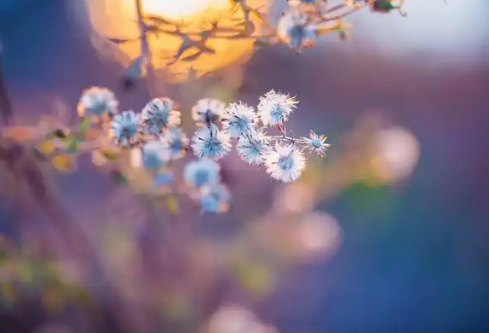 1779407663110962.png image.png