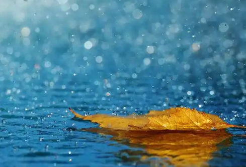 1779409157467478.png image.png