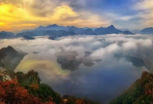 1779412308412610.png image.png