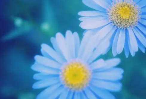 1779413470337654.png image.png