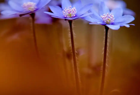 1779413635365614.png image.png