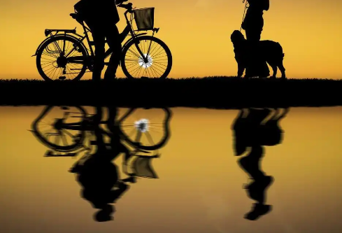 1779413801541633.png image.png