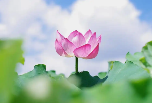 1779414962952740.png image.png