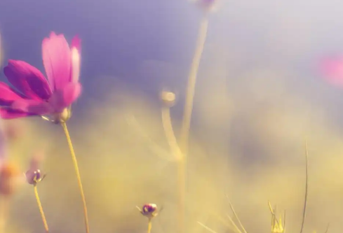 1779415294431916.png image.png