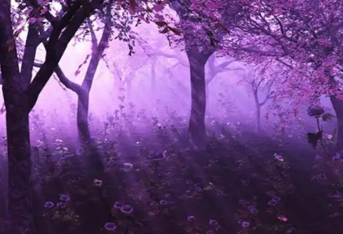 1779415792295148.png image.png