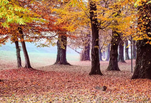 1779472131411571.png image.png