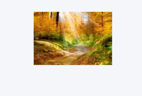 1779475280113611.png image.png