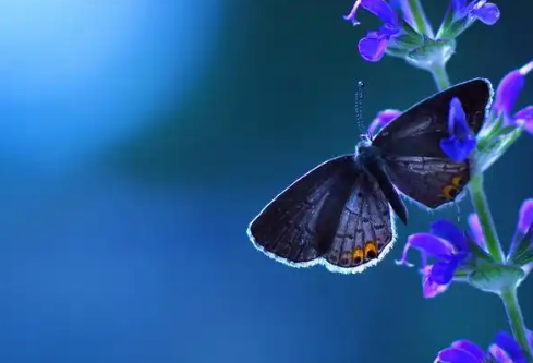 1779479423246624.png image.png