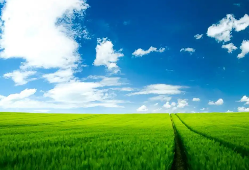 1779480584926231.png image.png