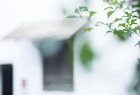 1779482573513518.png image.png