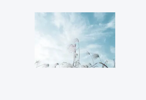 1779483071513804.png image.png