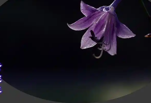 1779484894412781.png image.png