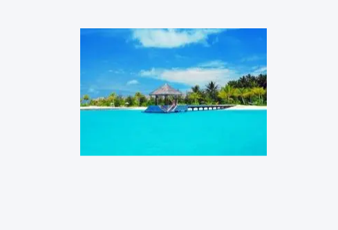 1779491361127764.png image.png