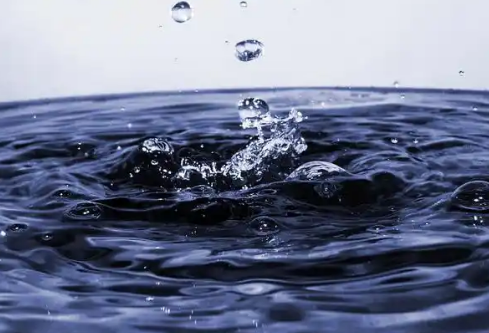 1779492521164506.png image.png