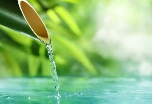 1779497496870104.png image.png
