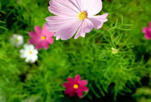 1779497993917155.png image.png