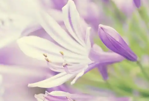 1779498159497666.png image.png