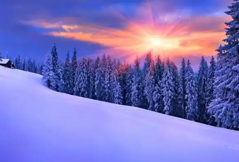 1779499319131700.png image.png