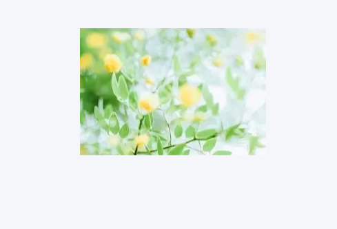 1779500314912179.png image.png