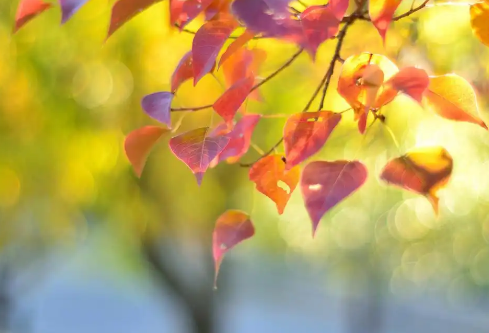 1779501142667660.png image.png