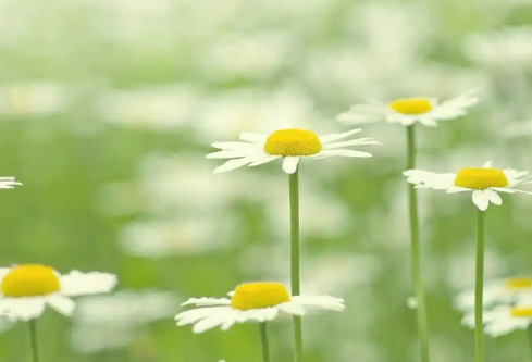 1779501972214638.png image.png