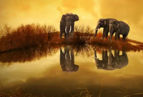 1779502137885152.png image.png