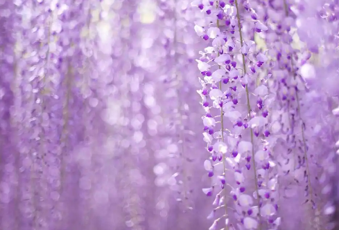 1779502966747814.png image.png