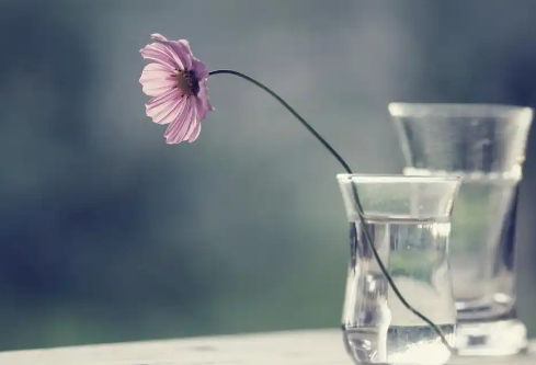 1779551625126274.png image.png