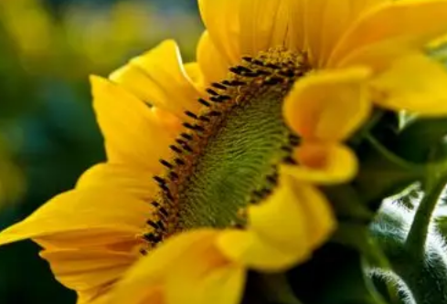 1779552619301710.png image.png