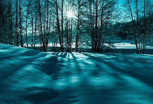 1779552785577367.png image.png