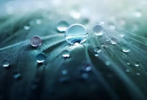 1779554111567320.png image.png